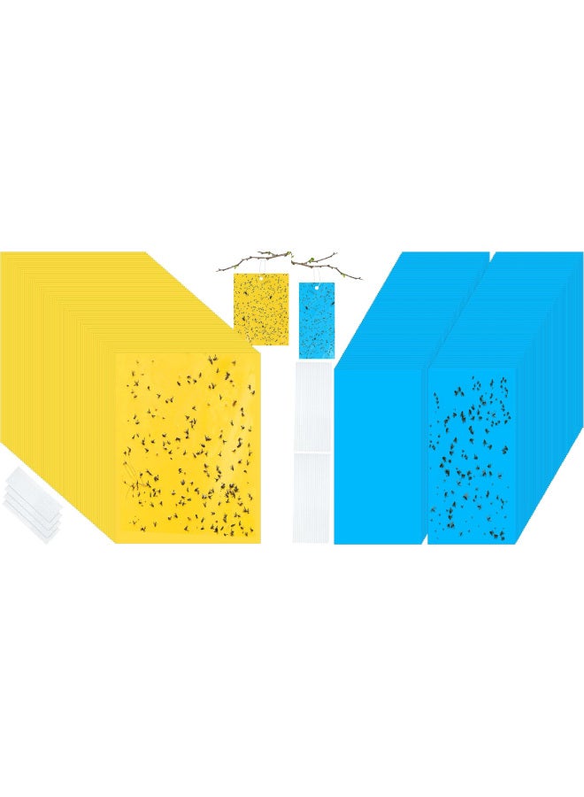 Sticky Insect Traps, Insect Attractants, Double-sided Yellow And Blue Sticky Traps - Image 4