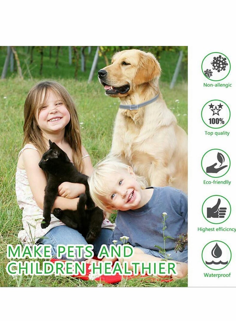 Electric Pet Grooming Combs for Cats and Dogs, Efficiently Remove Loose Fur and Hair - Image 2