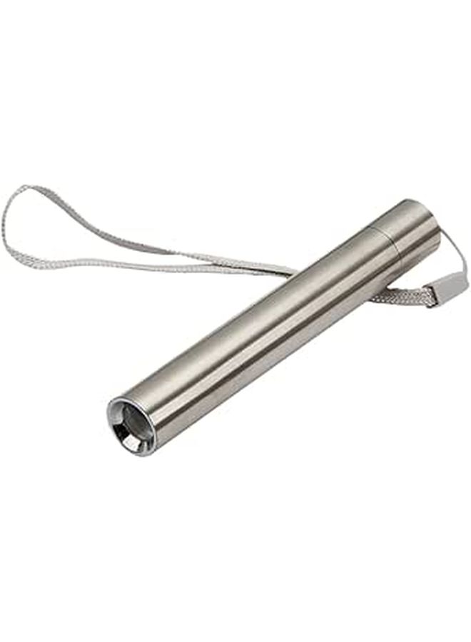Lightweight LED Currency Checking Lamp For Cosmetics Detection Pen - Image 1