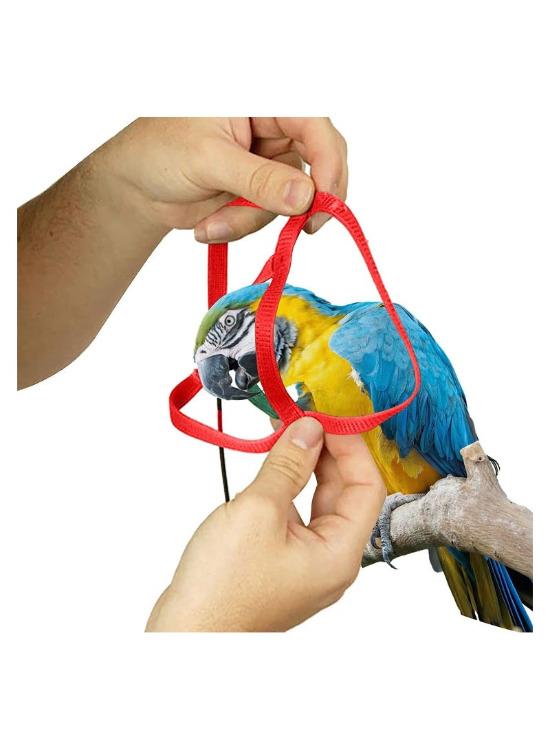 سيوسي الببغاء يطير الحبل الحيوانات الأليفة الطيور الجلد قابل للتعديل يمكن أن تستخدم في الهواء الطلق المشي الببغاء تحمل الطيور والدواجن - Image 4