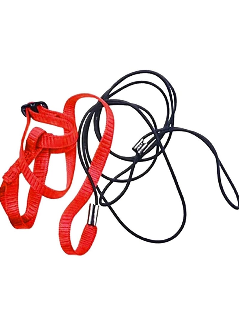 سيوسي الببغاء يطير الحبل الحيوانات الأليفة الطيور الجلد قابل للتعديل يمكن أن تستخدم في الهواء الطلق المشي الببغاء تحمل الطيور والدواجن - Image 3