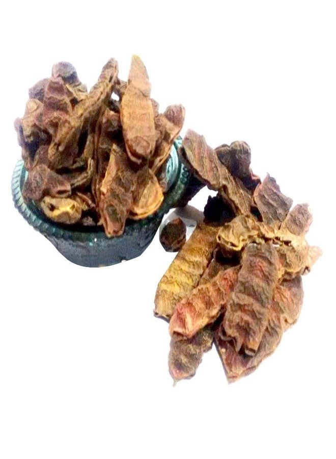 NPRC Shikakai Raw and Dried Natural Form (200g) - Image 2