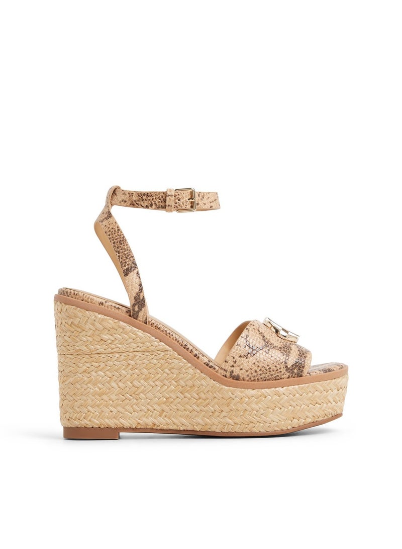 الدو شباشب دروين اليومية