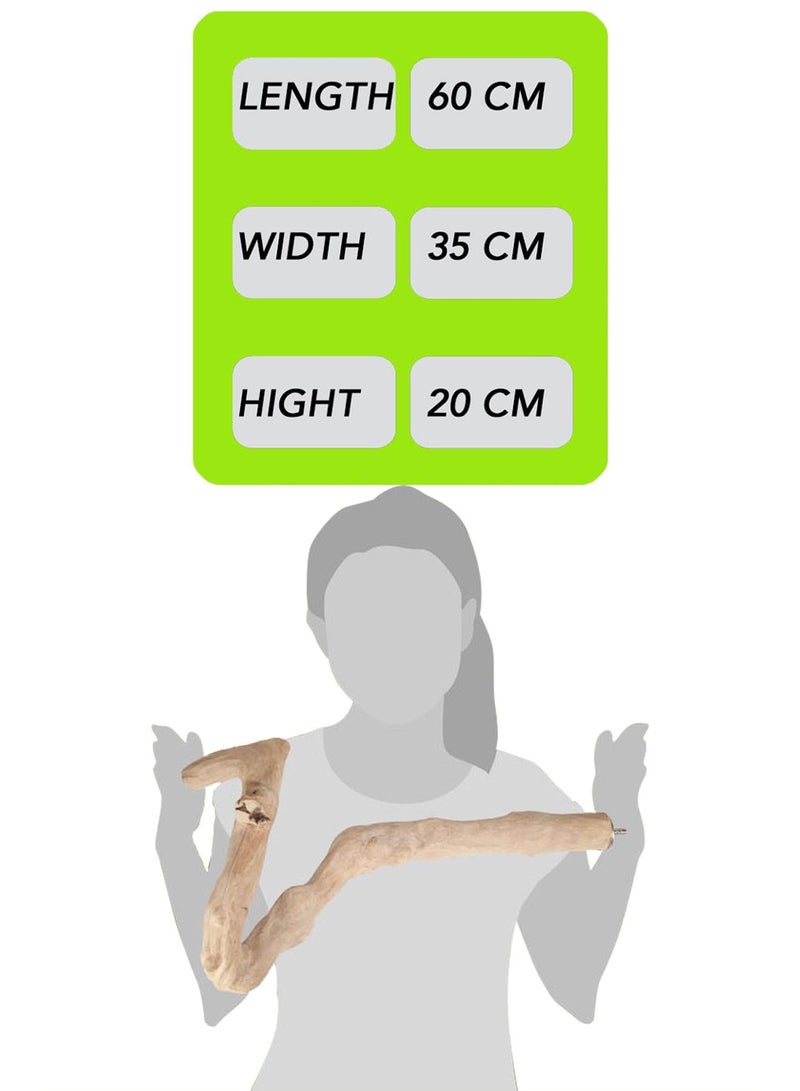 CHEWY BEAK Wooden Parrot Perch Stick for Large Birds & Parrots Indonesian Java wood Perches Parrot Accessories - Image 2