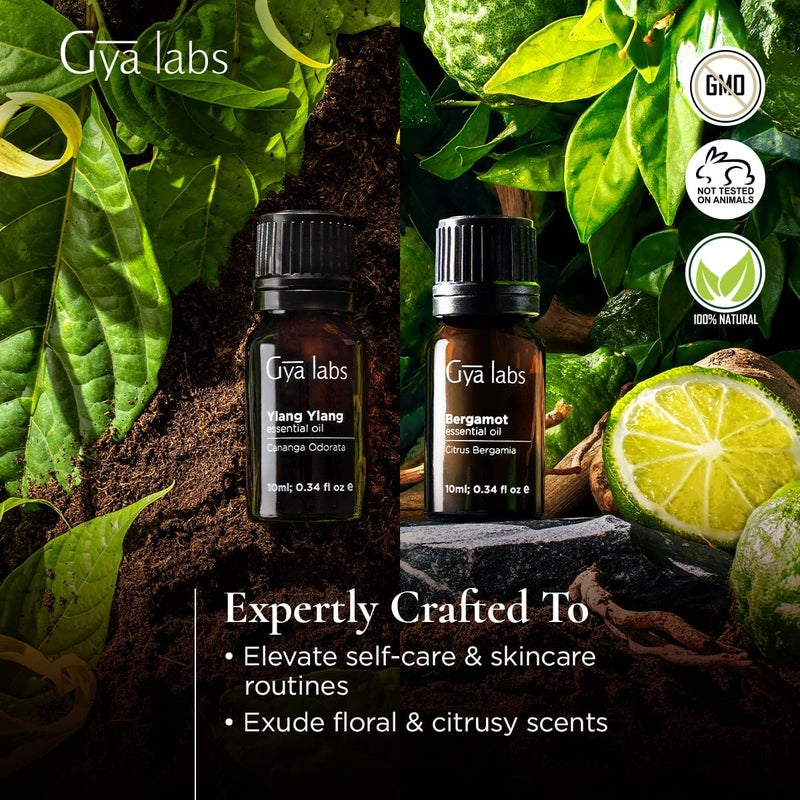 Gya Labs Ylang Ylang & Bergamot Essential Oil Combo Pack (0.34 Fl Oz x 2) - for Diffuser, Skin, Aromatherapy, Soap & Candle Making Scents - Image 3
