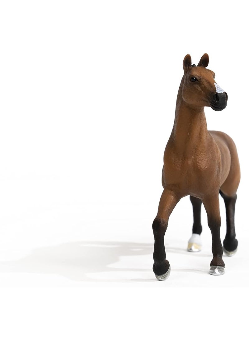 Schleich خيول نادي شلايش، ألعاب خيول واقعية للبنات والأولاد، تمثال فرس أولدنبورغ، للأعمار من 5 سنوات فما فوق - Image 2