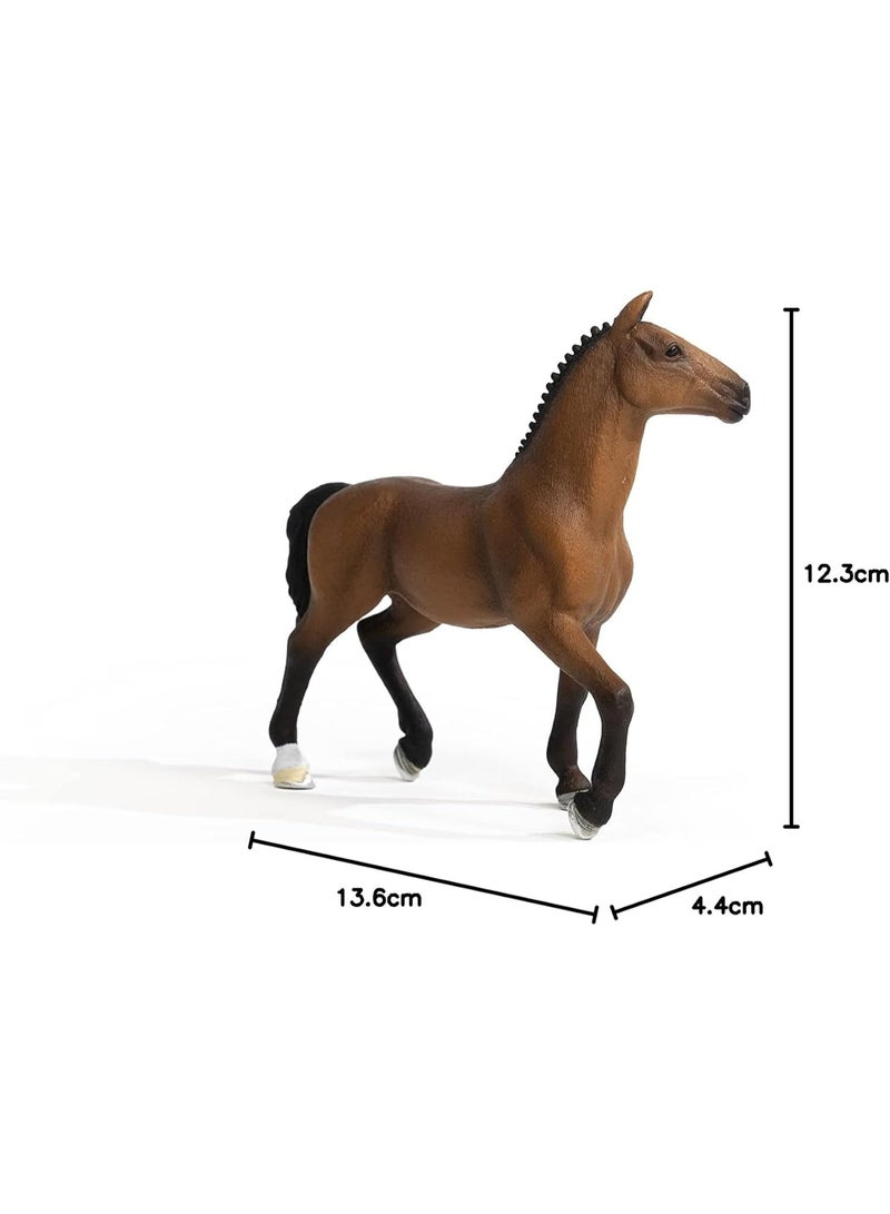 Schleich خيول نادي شلايش، ألعاب خيول واقعية للبنات والأولاد، تمثال فرس أولدنبورغ، للأعمار من 5 سنوات فما فوق - Image 5