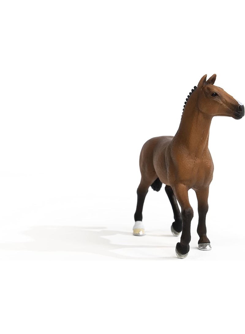 Schleich خيول نادي شلايش، ألعاب خيول واقعية للبنات والأولاد، تمثال فرس أولدنبورغ، للأعمار من 5 سنوات فما فوق - Image 3