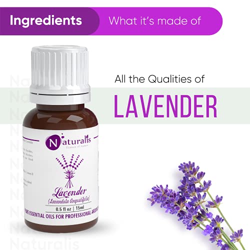 Naturalis Lavender Oil - Pure, Natural, and Undiluted Lavender Essential Oil for Hair, Skin Bath & Therapeutic Massage - Ideal Lavender Essential Oil for Diffuser - 15ml - Image 3