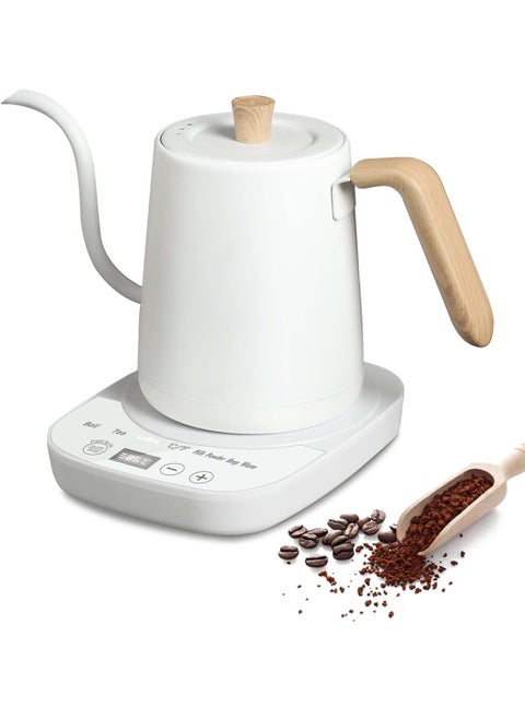 Electric Kettle, 304 Stainless Steel Coffee and Tea Pot, 1000W Rapid Heating Electric Boiler for Coffee Tea Brewing 800ML White