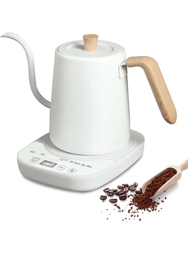 Electric Kettle, 304 Stainless Steel Coffee and Tea Pot, 1000W Rapid Heating Electric Boiler for Coffee Tea Brewing 800ML White
