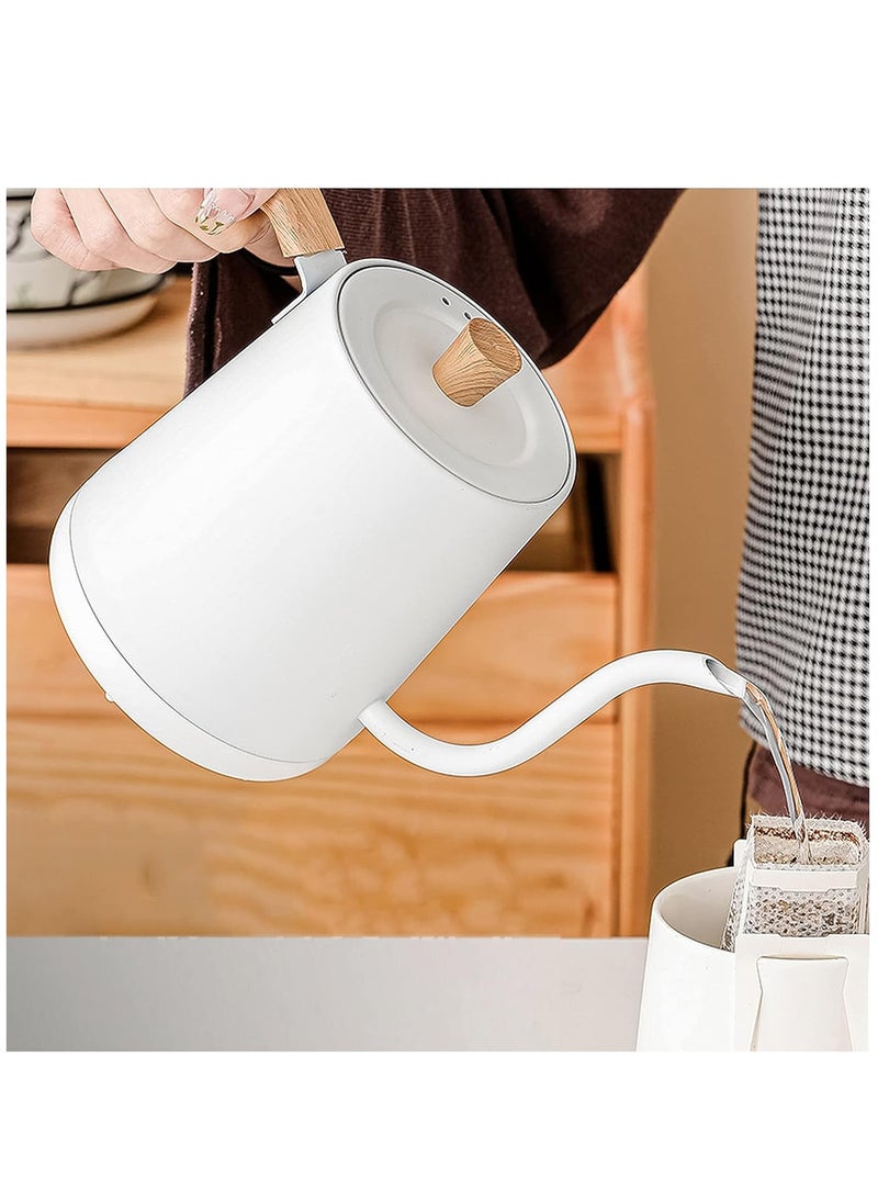 Electric Kettle, 304 Stainless Steel Coffee and Tea Pot, 1000W Rapid Heating Electric Boiler for Coffee Tea Brewing 800ML White