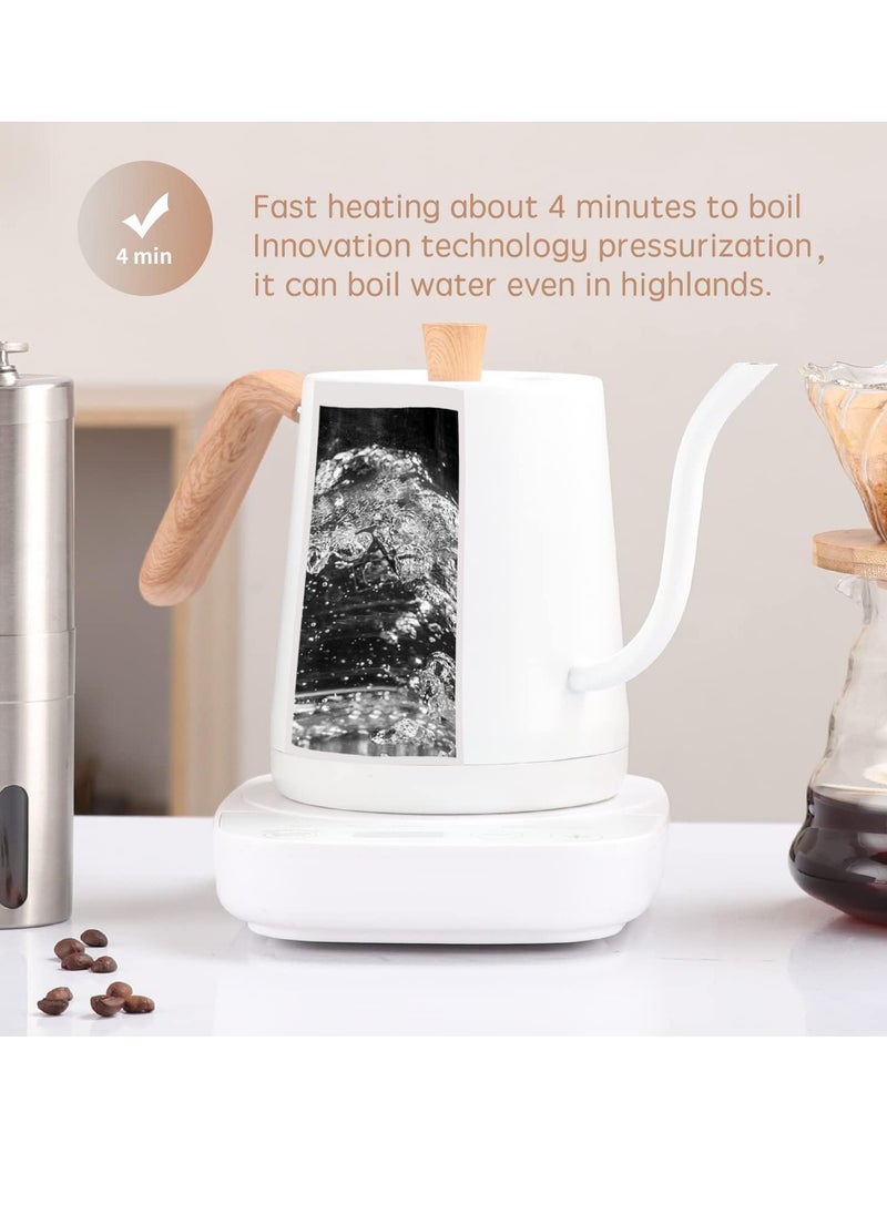 Electric Kettle, 304 Stainless Steel Coffee and Tea Pot, 1000W Rapid Heating Electric Boiler for Coffee Tea Brewing 800ML White