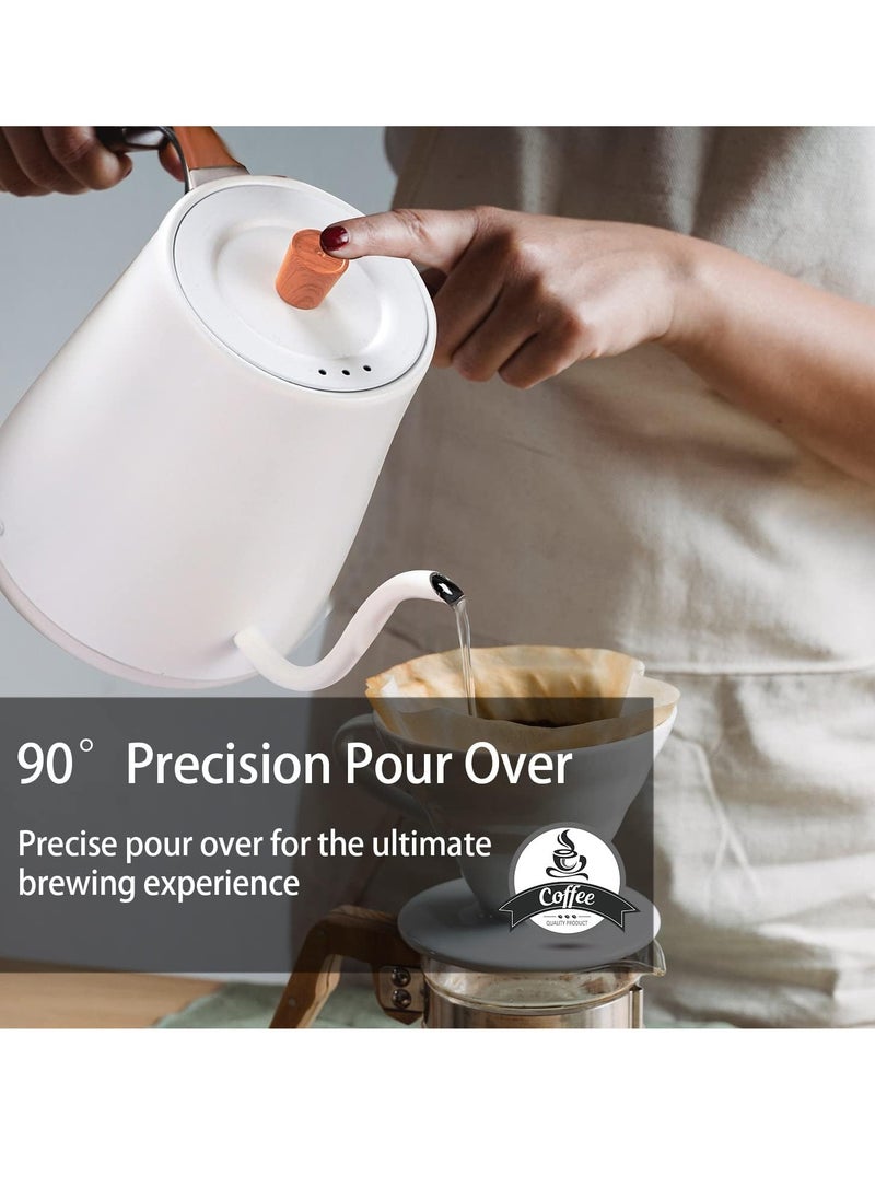 Electric Kettle, 304 Stainless Steel Coffee and Tea Pot, 1000W Rapid Heating Electric Boiler for Coffee Tea Brewing 800ML White