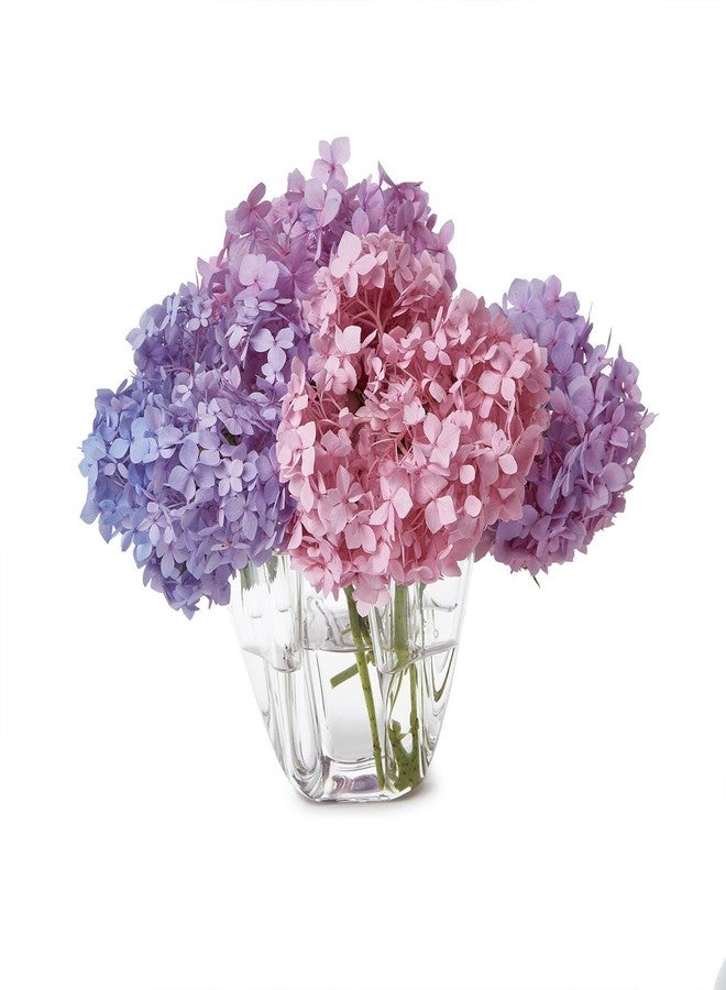 توز كومباني مزهرية منديل من تووز كومباني، 5 أقسام، 8 بوصات، أكريليك، شفاف - Image 1