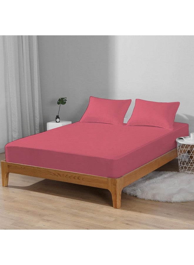 Trance Home Linen Trance Home Linen® Premium 220 GSM+ 78" x 78" Cotton Terry Waterproof Mattress Protector | Elasticated Fitted Style Non-Toxic Bed Protector | Mattresses Cover (78x78 inch | 6.5x6.5 feet_ Coral)  - Image 3