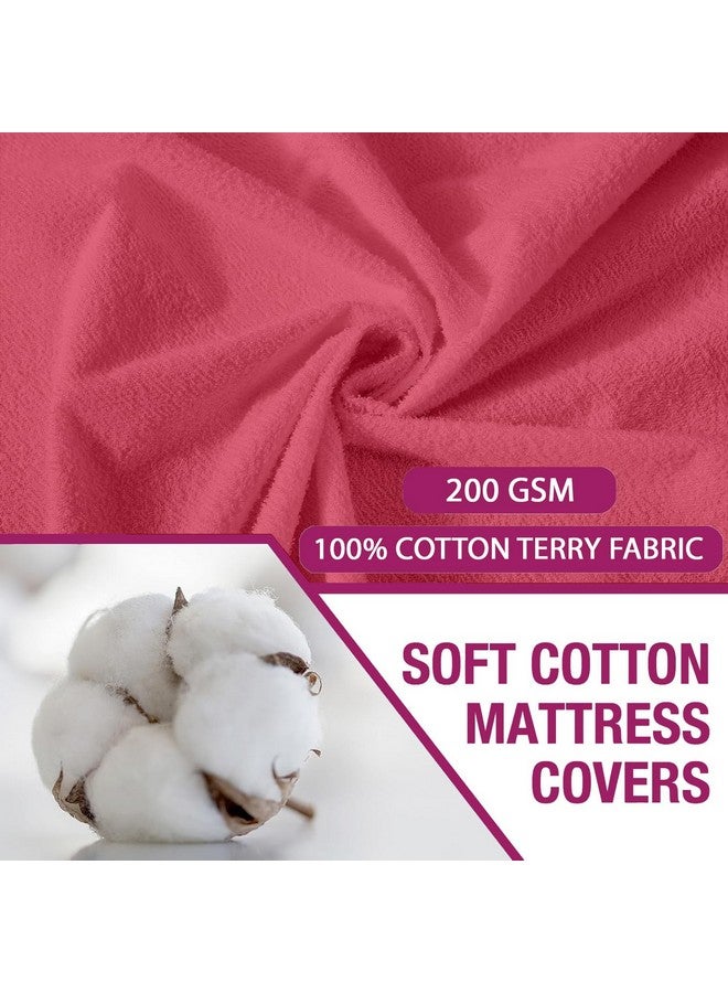 Trance Home Linen Trance Home Linen® Premium 220 GSM+ 78" x 78" Cotton Terry Waterproof Mattress Protector | Elasticated Fitted Style Non-Toxic Bed Protector | Mattresses Cover (78x78 inch | 6.5x6.5 feet_ Coral)  - Image 4