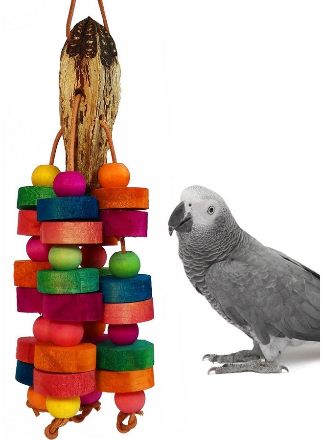 Hyamass Bird Toys, Parrot Toys Natural Multi-Colored Wooden Bird Chew Toys for Small and Medium-Sized Parakeet,Cockatiel,Conures,Lovebirds Macaws,African Grey,Cockatoos,Amazon Parrots,Hanging Toys - Image 1