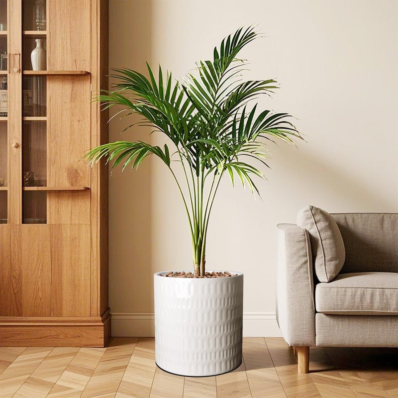 YUFDA 12 Inch Plant Pot,Ceramic Planter with Drainage,Large Planters for Indoor Plants,Indoor&Outdoor Plant pots,Ceramic Flower pots,Cylinder Flower Planter Pot(Pure White) - Image 5