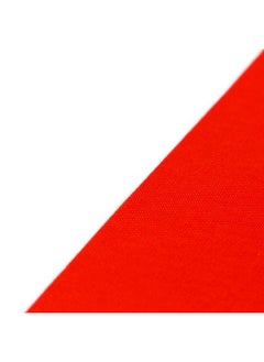 THE BABA Denmark Flag 2'X3' (60X90Cm) For Euro 2024 - Good Quality - Indoor And Outdoor Use  - Image 3