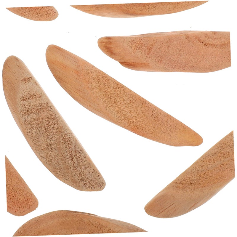 Natural Driftwood Branch Slices for Aquarium Decor Crafting Unique Home Fish Tank Habitat - Image 4