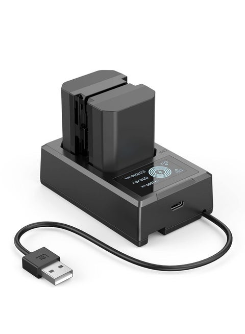 Watson DuoVolt Sony Fx3 Llano 2-in-1 NP-FZ100 Fast Camera Dual