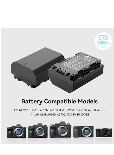 Caricabatterie Rapido Per Sony NP-FZ100 - 18W Dual USB-C, Display Digitale, Compatibile Con A7III, A9, FX3 E Altri - Foto 5