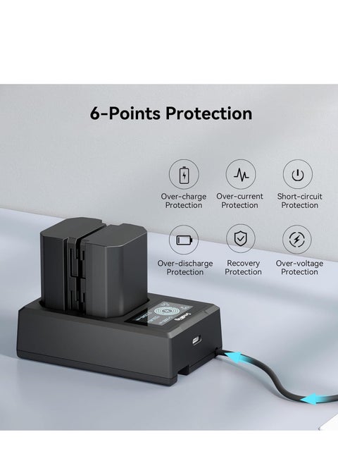 PATONA NP-FZ100 Chargeur De Batterie (Dual USB) Compatible Avec Sony
