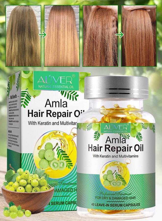 ALIVER 40 Pcs Amla Hair Repair Oil Capsules Organic Amla Oil with Keratin & Multivitamins Amla Hair Repair Oil Shines Nourishing Repair Dry & Damaged Hair Treatment Leave-In Serum - Image 1