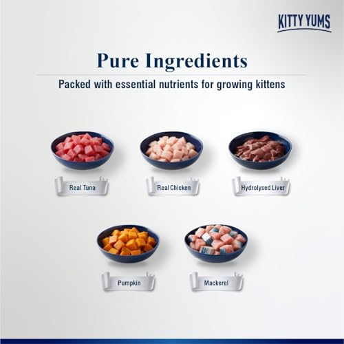 Kitty Yums Kitten Wet Mousse 80g | Ocean Fish | Rich in Protein | Promotes Hydration & Easy to Digest | Grain Free | No Artificial Flavours |Packed with Essential Vitamins & Antioxidants - Image 4