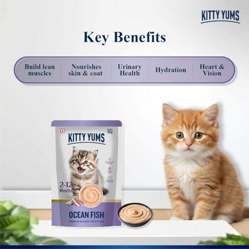Kitty Yums Kitten Wet Mousse 80g | Ocean Fish | Rich in Protein | Promotes Hydration & Easy to Digest | Grain Free | No Artificial Flavours |Packed with Essential Vitamins & Antioxidants - Image 2