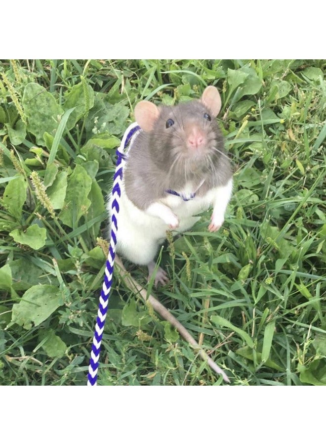 Yamadura Adjustable Rat Leash Hamster Leash With Bell Harness For Ferret Mouse Squirrel Small Animal (Random) - Image 4