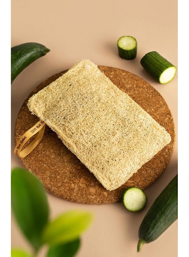bathing loofah Body Scrubber Exfoliating Scrub Natural Exfoliation Personal Care Organic Loofah Skin Renewal - Image 4