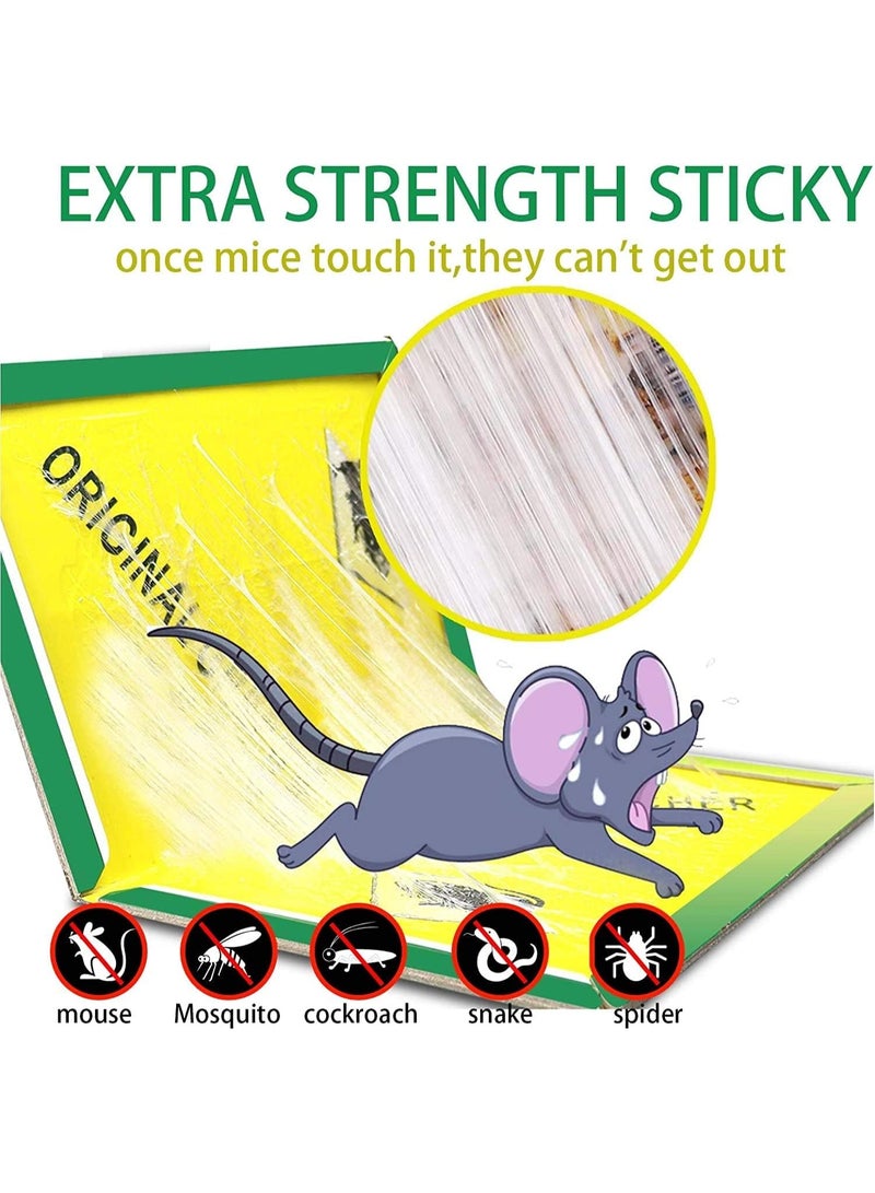 GREEN KILLER Mouse & Rat Glue Traps - Super Sticky Adhesive Boards for Indoor/Outdoor Pest Control - Professional Strength Traps for Rats, Mice, Cockroaches, Spiders & Insects (Pack of 12) - Image 2
