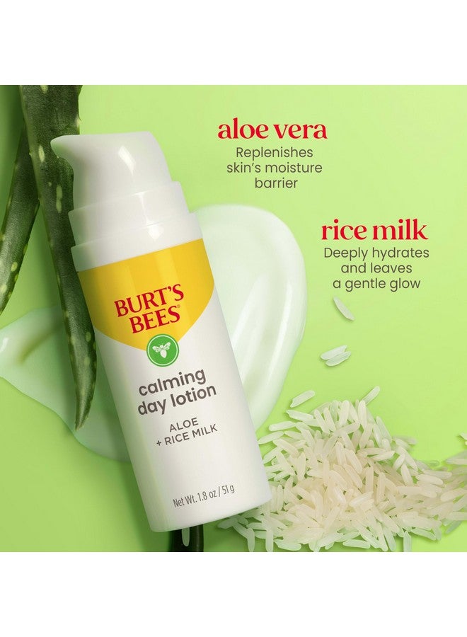 بيرتس بيز هدايا هدايا العناية بالبشرة من بيرتس بيز، مرطب للوجه بخلاصة الصبار وحليب الأرز، لوشن نهاري مهدئ للبشرة الحساسة، مكونات طبيعية 98.9% للعناية بالبشرة، هدايا عيد الميلاد، زجاجة 1.8 أونصة - Image 4