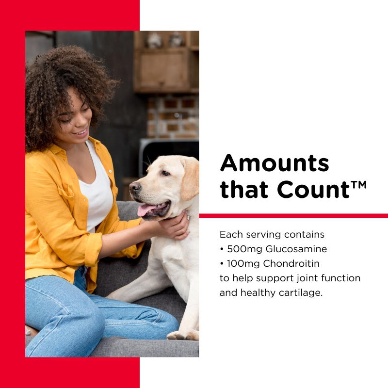 nutri vet Nutri-Vet Hip & Joint Regular Strength Chewable Dog Supplements, Formulated with Glucosamine Chondroitin, Pet Supplies, Joint Supplement for Dogs, Puppy Essentials, 120 Count - Image 3