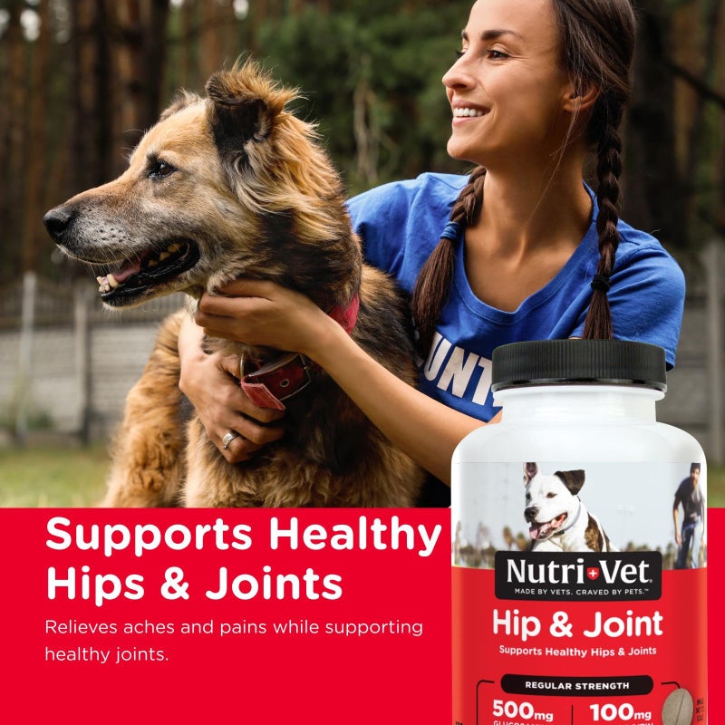 nutri vet Nutri-Vet Hip & Joint Regular Strength Chewable Dog Supplements, Formulated with Glucosamine Chondroitin, Pet Supplies, Joint Supplement for Dogs, Puppy Essentials, 120 Count - Image 2