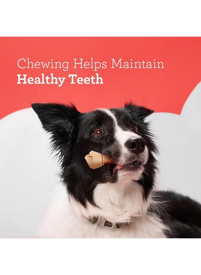 Dreambone Vegetable & Chicken Dog Chews, Rawhide Free, Medium, 4-Count, Medium, 4 Pieces/Pack (DBC-00257) (3 Pack) - Image 5