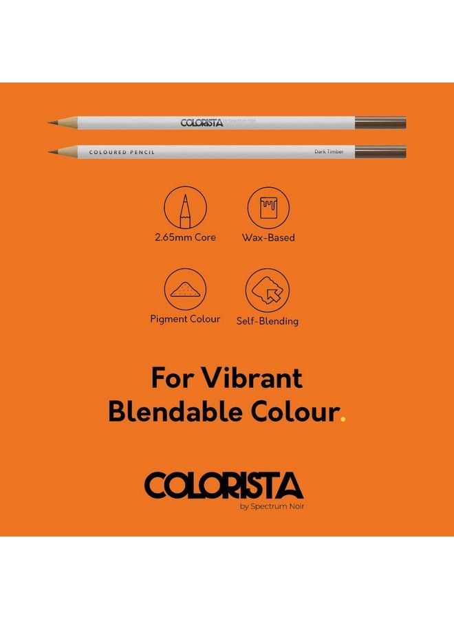 Spectrum Noir Colorista Coloured Pencils Pack Of 12 Natural Landscape - Image 4