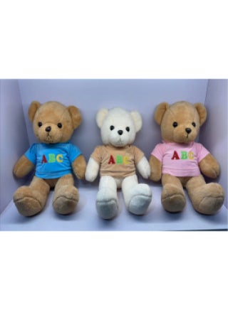 Bear Plush Toy Teddy Bear Sweater Bear Big 15 Inch Grab Machine Exchange Children Sleep Pillow Wholesale-Specifications:ABC Sweatshirt Bear TD35-color:Leather Shell-55cm - pzsku/Z4374AF87563CC4E2A03BZ/45/1743170499/f821d991-f7af-495d-adfc-f273fb455dca