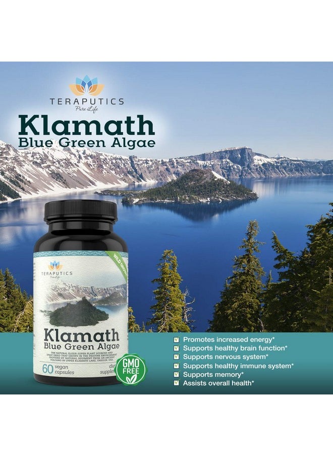 Teraputics - Premium Klamath Blue Green Algae More Powerful Than Spirulina And Chlorella Supplements ; Pure Chlorophyll Rich Superfood Sourced From Organic Klamath Lake 500Mg 60 Vegan Capsules - Image 1