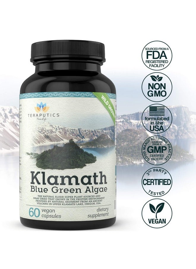 Teraputics - Premium Klamath Blue Green Algae More Powerful Than Spirulina And Chlorella Supplements ; Pure Chlorophyll Rich Superfood Sourced From Organic Klamath Lake 500Mg 60 Vegan Capsules - Image 1