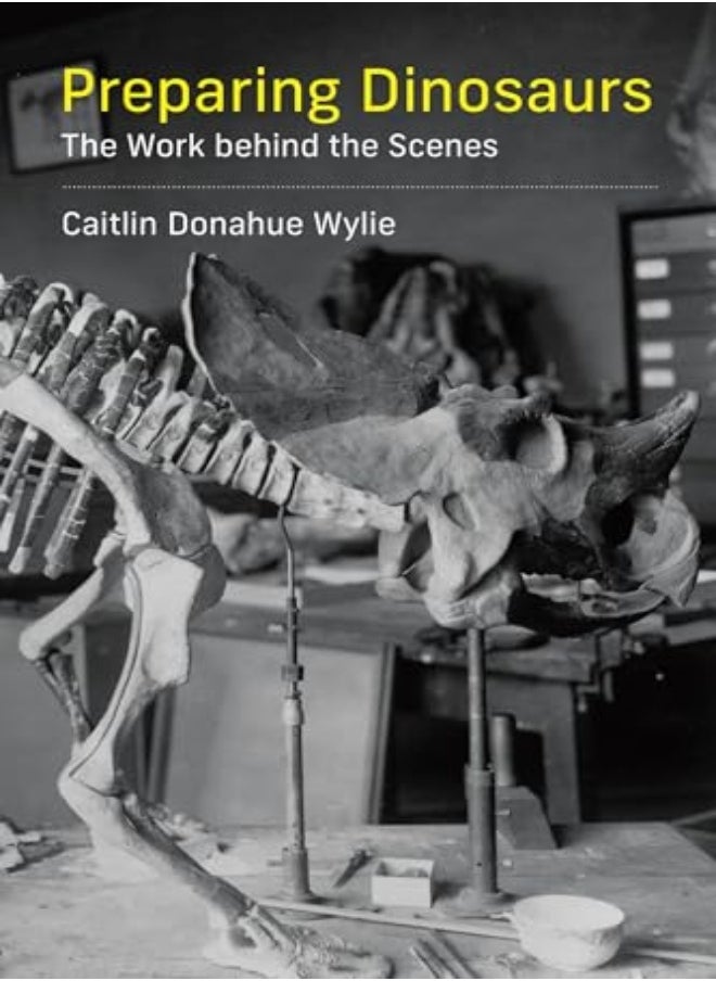 null - Preparing Dinosaurs - Image 1