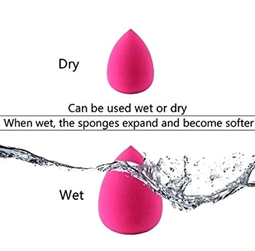 OUT OF BOX Kelley Make Up Foundation Powder Concealer Oval Blending Brushes with Silicone Jelly Sponge; Beauty Blender Puff and Brush Cleaner Brushegg (Set of 8) 5 Pieces - Image 4