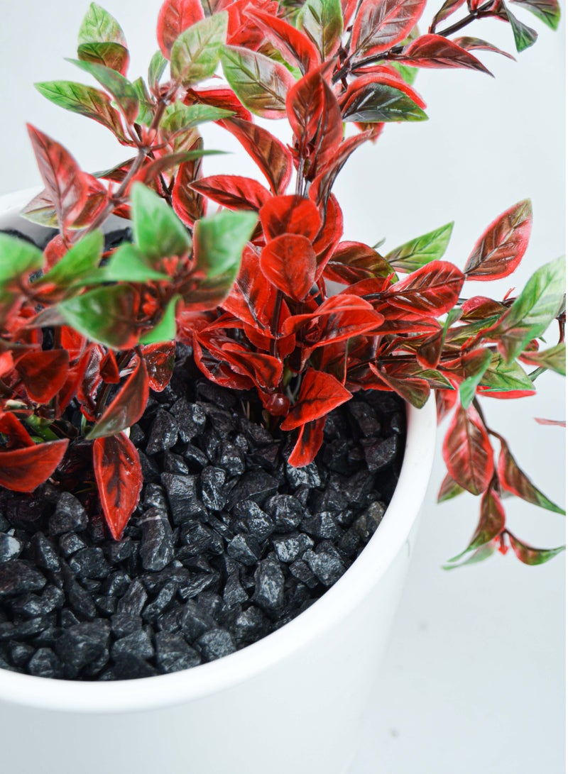 vsell24 5-8mm Premium Black Stone Chips - 20kg- Ideal for Aquascaping, Garden Design, and Outdoor Decor - Image 2