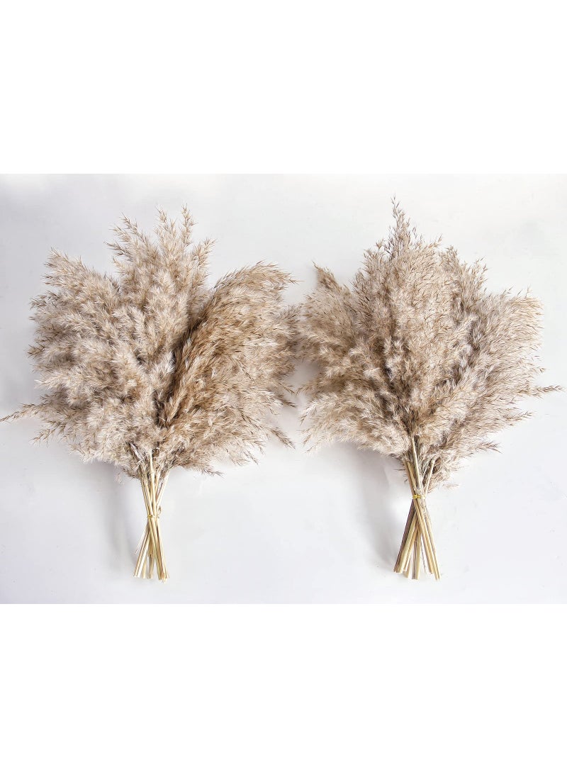 Kocat Pampas Grass Decor Natural Dry Pampas Grass Small Short Pampass Bulk for Farmhouse Wall Kitchen Bedroom Decor Office Decor 17 inch 