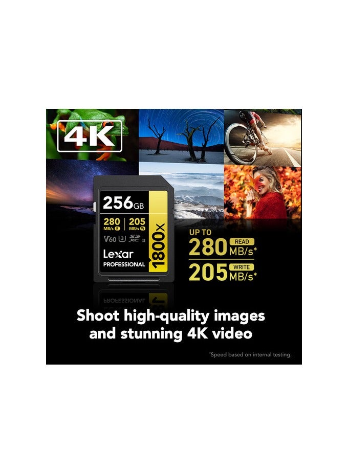 Lexar 256GB Professional 1800x UHS-II SDXC Memory Card - Image 4