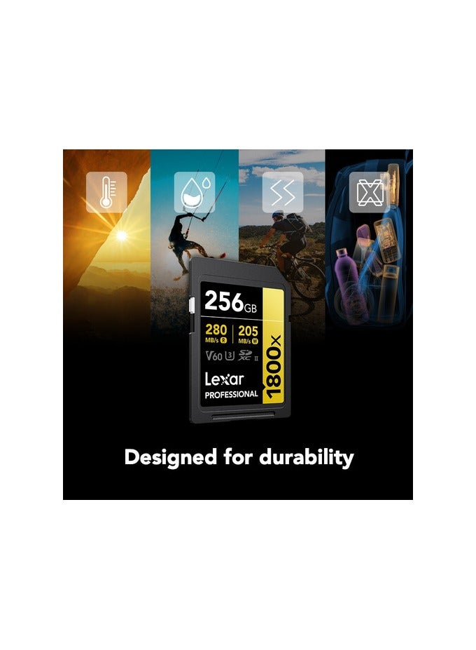 Lexar 256GB Professional 1800x UHS-II SDXC Memory Card - Image 5