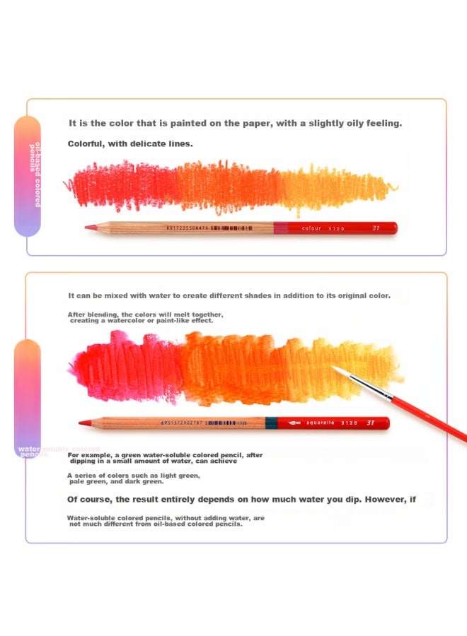 Marco Renoir Water-soluble Colored Pencils, 100 Colors, Tin Box Set, Professional Art Supplies Recommended By Art Teachers, Drawing And Coloring Pencils, Professional Art Student Birthday Gift, Back-to Supplies, Sketching - Image 3