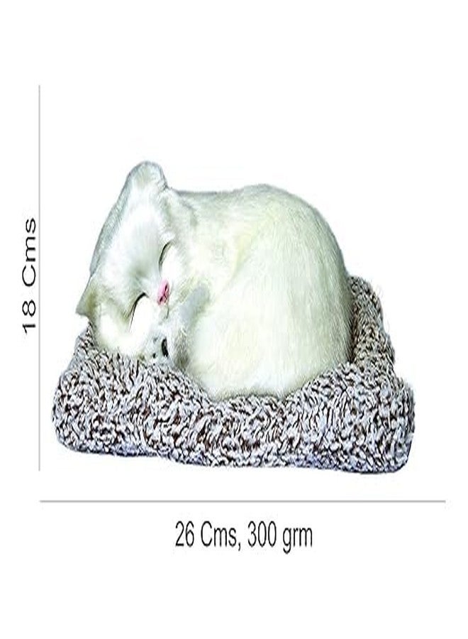 RPC99 Plastic Sleeping Cat Design Showpiece | Home Decor |Gift For Kids Car Dashboard Accessories 130G | 14Cm X 19Cm X 5Cm (White) - Image 3